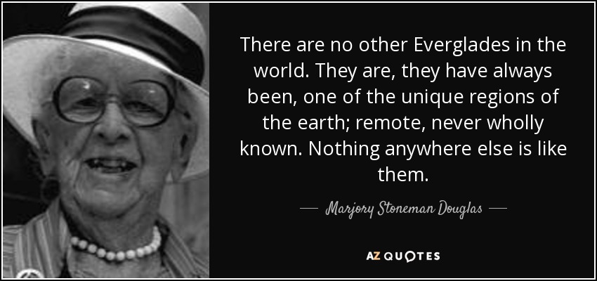 There are no other Everglades in the world. They are, they have always been, one of the unique regions of the earth; remote, never wholly known. Nothing anywhere else is like them. - Marjory Stoneman Douglas