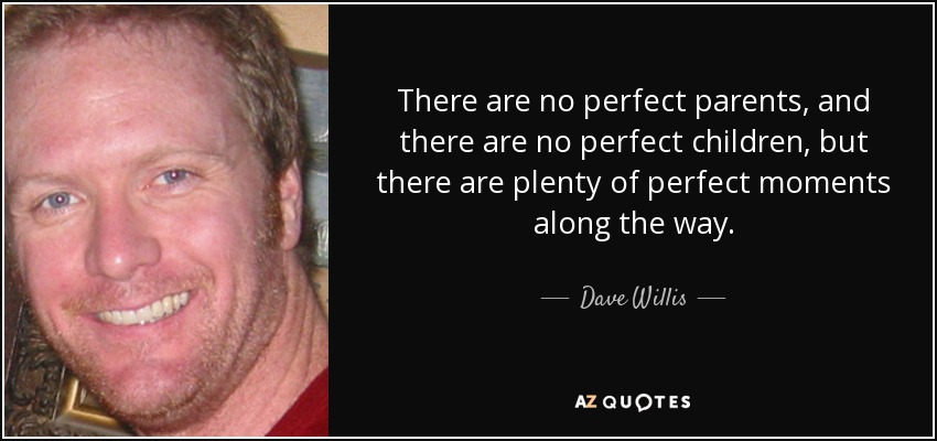 There are no perfect parents, and there are no perfect children, but there are plenty of perfect moments along the way. - Dave Willis