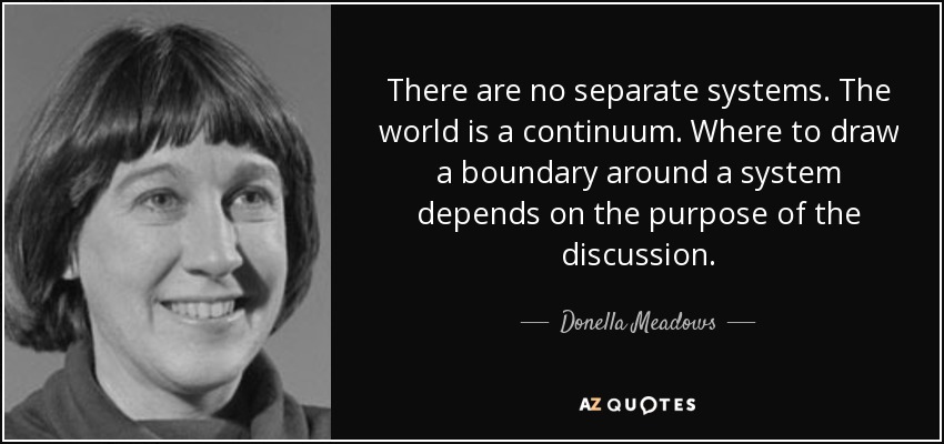 There are no separate systems. The world is a continuum. Where to draw a boundary around a system depends on the purpose of the discussion. - Donella Meadows
