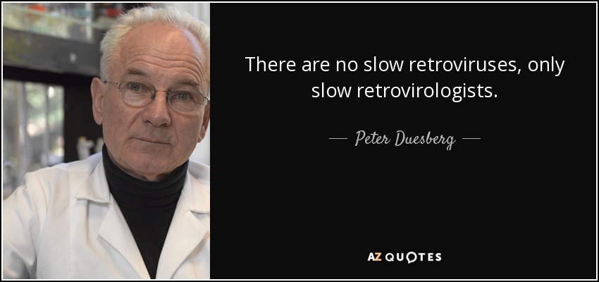 There are no slow retroviruses, only slow retrovirologists. - Peter Duesberg