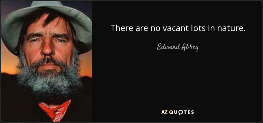 There are no vacant lots in nature. - Edward Abbey