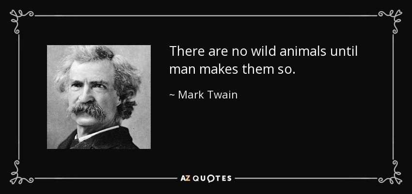 TOP 25 WILD ANIMAL QUOTES (of 154) | A-Z Quotes