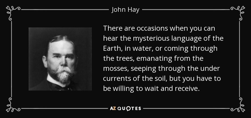 There are occasions when you can hear the mysterious language of the Earth, in water, or coming through the trees, emanating from the mosses, seeping through the under currents of the soil, but you have to be willing to wait and receive. - John Hay