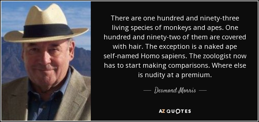 There are one hundred and ninety-three living species of monkeys and apes. One hundred and ninety-two of them are covered with hair. The exception is a naked ape self-named Homo sapiens. The zoologist now has to start making comparisons. Where else is nudity at a premium. - Desmond Morris