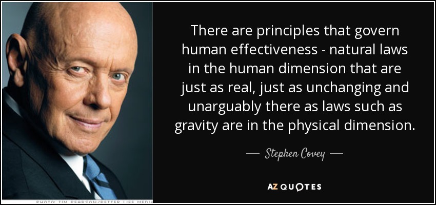 There are principles that govern human effectiveness - natural laws in the human dimension that are just as real, just as unchanging and unarguably there as laws such as gravity are in the physical dimension. - Stephen Covey