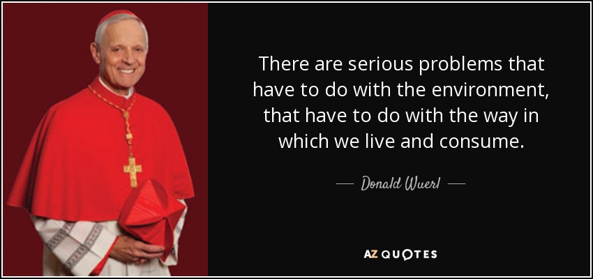 There are serious problems that have to do with the environment, that have to do with the way in which we live and consume. - Donald Wuerl