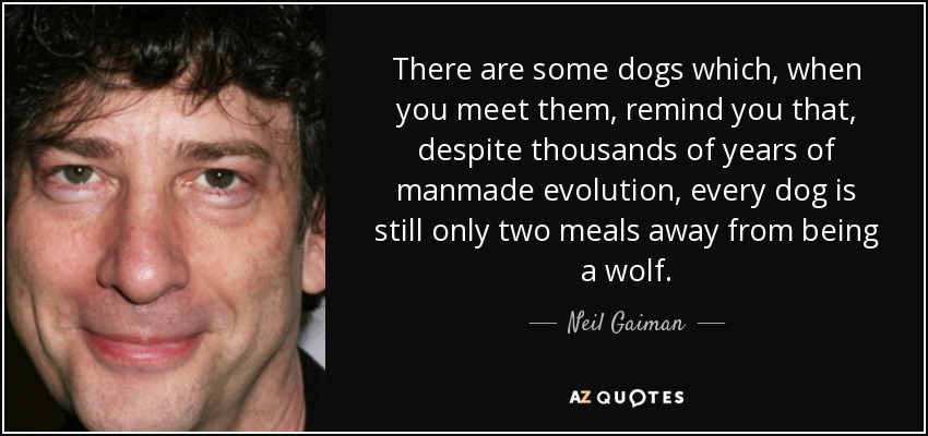 There are some dogs which, when you meet them, remind you that, despite thousands of years of manmade evolution, every dog is still only two meals away from being a wolf. - Neil Gaiman