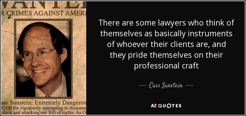 There are some lawyers who think of themselves as basically instruments of whoever their clients are, and they pride themselves on their professional craft - Cass Sunstein