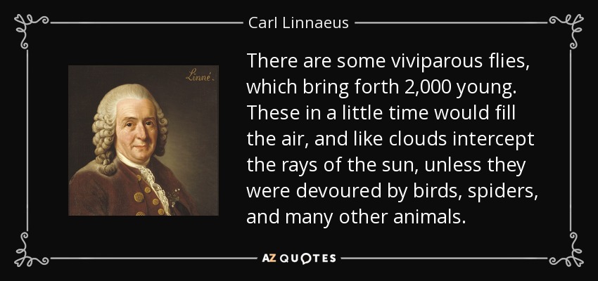 There are some viviparous flies, which bring forth 2,000 young. These in a little time would fill the air, and like clouds intercept the rays of the sun, unless they were devoured by birds, spiders, and many other animals. - Carl Linnaeus