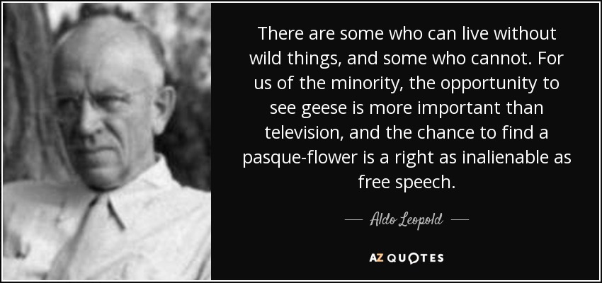 There are some who can live without wild things, and some who cannot. For us of the minority, the opportunity to see geese is more important than television, and the chance to find a pasque-flower is a right as inalienable as free speech. - Aldo Leopold
