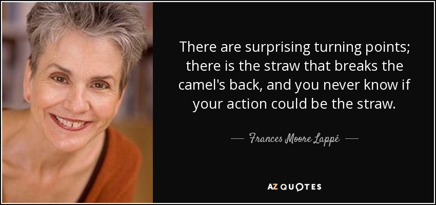 There are surprising turning points; there is the straw that breaks the camel's back, and you never know if your action could be the straw. - Frances Moore Lappé