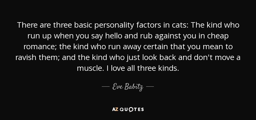 There are three basic personality factors in cats: The kind who run up when you say hello and rub against you in cheap romance; the kind who run away certain that you mean to ravish them; and the kind who just look back and don't move a muscle. I love all three kinds. - Eve Babitz