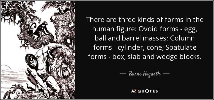 There are three kinds of forms in the human figure: Ovoid forms - egg, ball and barrel masses; Column forms - cylinder, cone; Spatulate forms - box, slab and wedge blocks. - Burne Hogarth