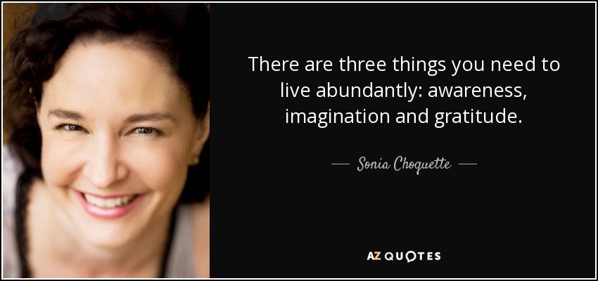 There are three things you need to live abundantly: awareness, imagination and gratitude. - Sonia Choquette