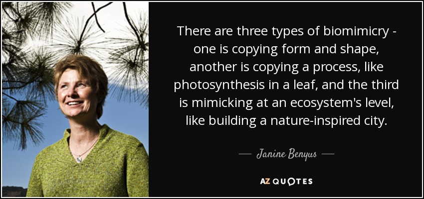 There are three types of biomimicry - one is copying form and shape, another is copying a process, like photosynthesis in a leaf, and the third is mimicking at an ecosystem's level, like building a nature-inspired city. - Janine Benyus