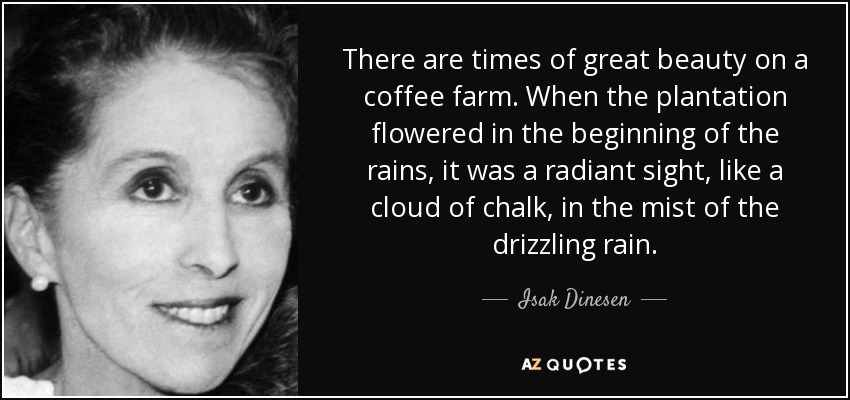 There are times of great beauty on a coffee farm. When the plantation flowered in the beginning of the rains, it was a radiant sight, like a cloud of chalk, in the mist of the drizzling rain. - Isak Dinesen