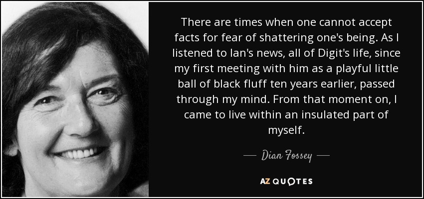 There are times when one cannot accept facts for fear of shattering one's being. As I listened to Ian's news, all of Digit's life, since my first meeting with him as a playful little ball of black fluff ten years earlier, passed through my mind. From that moment on, I came to live within an insulated part of myself. - Dian Fossey