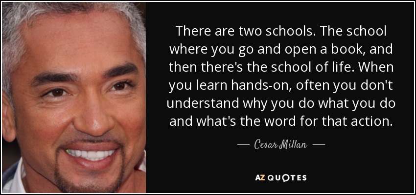 There are two schools. The school where you go and open a book, and then there's the school of life. When you learn hands-on, often you don't understand why you do what you do and what's the word for that action. - Cesar Millan