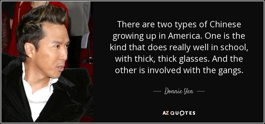 There are two types of Chinese growing up in America. One is the kind that does really well in school, with thick, thick glasses. And the other is involved with the gangs. - Donnie Yen
