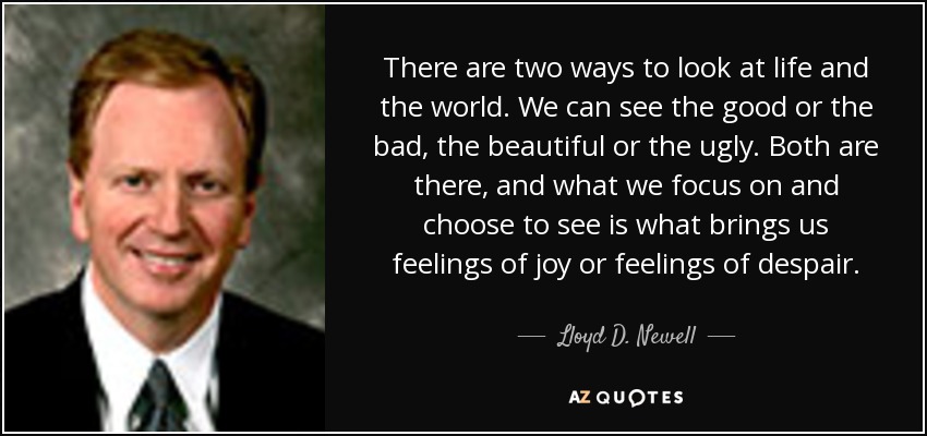 There are two ways to look at life and the world. We can see the good or the bad, the beautiful or the ugly. Both are there, and what we focus on and choose to see is what brings us feelings of joy or feelings of despair. - Lloyd D. Newell