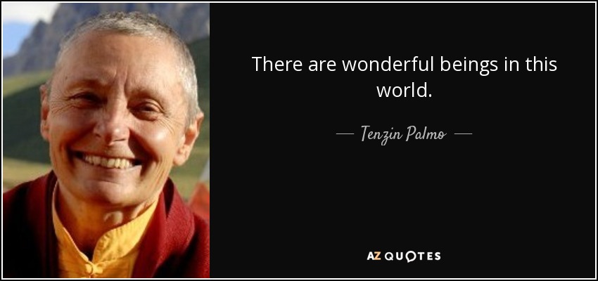 There are wonderful beings in this world. - Tenzin Palmo
