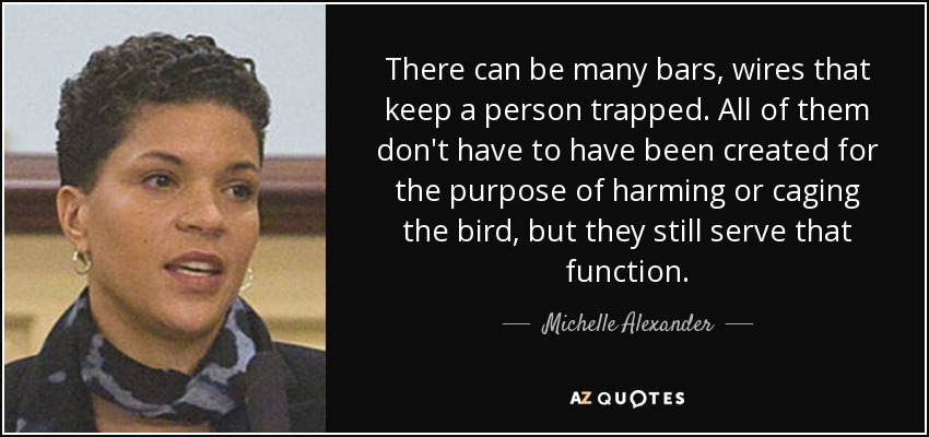 There can be many bars, wires that keep a person trapped. All of them don't have to have been created for the purpose of harming or caging the bird, but they still serve that function. - Michelle Alexander
