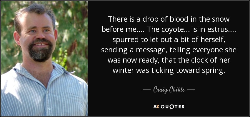 There is a drop of blood in the snow before me.... The coyote... is in estrus.... spurred to let out a bit of herself, sending a message, telling everyone she was now ready, that the clock of her winter was ticking toward spring. - Craig Childs
