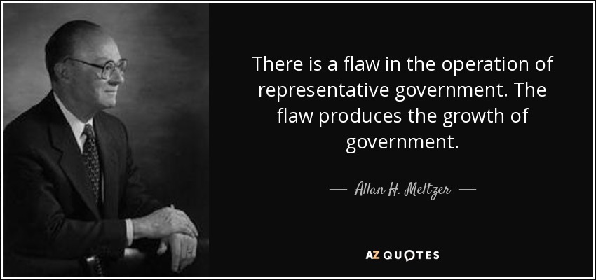 There is a flaw in the operation of representative government. The flaw produces the growth of government. - Allan H. Meltzer