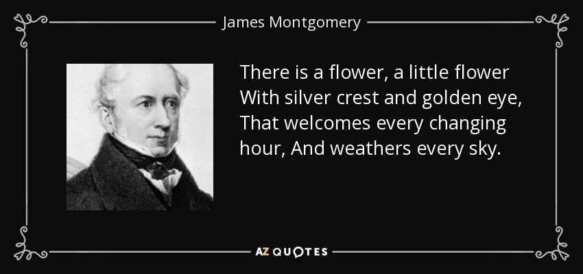 There is a flower, a little flower With silver crest and golden eye, That welcomes every changing hour, And weathers every sky. - James Montgomery