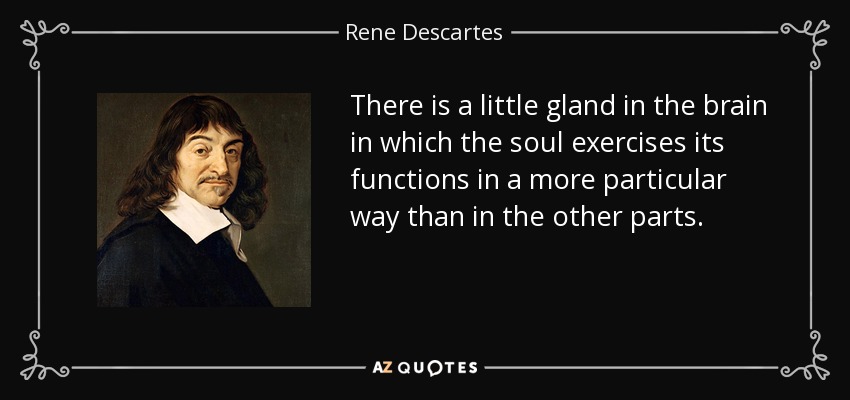 There is a little gland in the brain in which the soul exercises its functions in a more particular way than in the other parts. - Rene Descartes