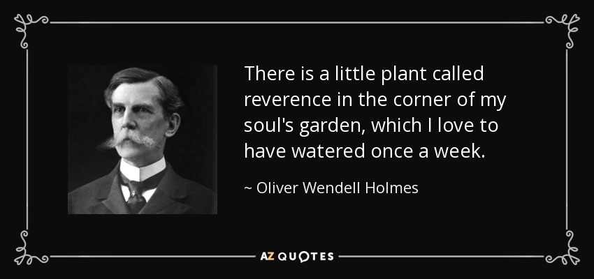 There is a little plant called reverence in the corner of my soul's garden, which I love to have watered once a week. - Oliver Wendell Holmes, Jr.