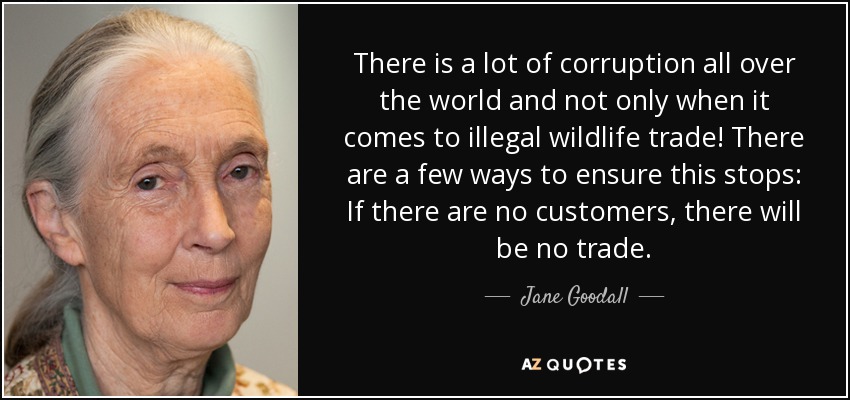 There is a lot of corruption all over the world and not only when it comes to illegal wildlife trade! There are a few ways to ensure this stops: If there are no customers, there will be no trade. - Jane Goodall