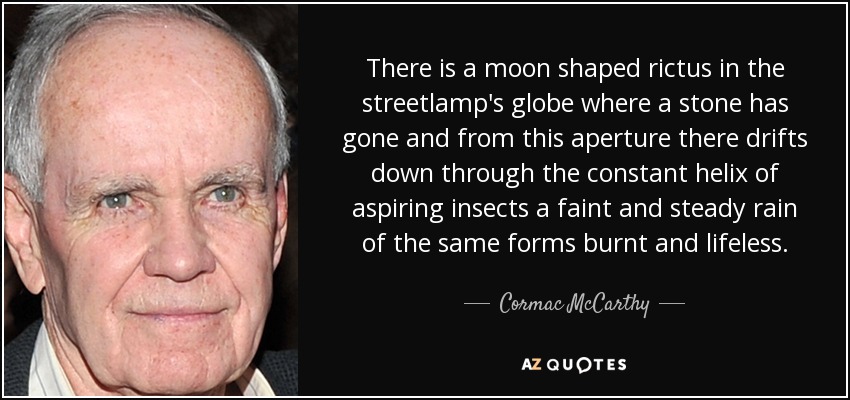 There is a moon shaped rictus in the streetlamp's globe where a stone has gone and from this aperture there drifts down through the constant helix of aspiring insects a faint and steady rain of the same forms burnt and lifeless. - Cormac McCarthy