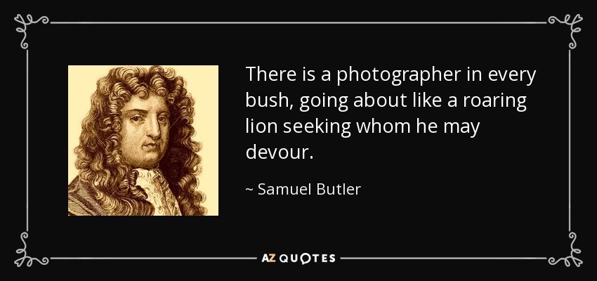 There is a photographer in every bush, going about like a roaring lion seeking whom he may devour. - Samuel Butler