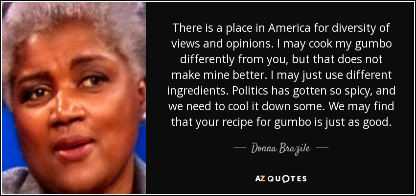 There is a place in America for diversity of views and opinions. I may cook my gumbo differently from you, but that does not make mine better. I may just use different ingredients. Politics has gotten so spicy, and we need to cool it down some. We may find that your recipe for gumbo is just as good. - Donna Brazile