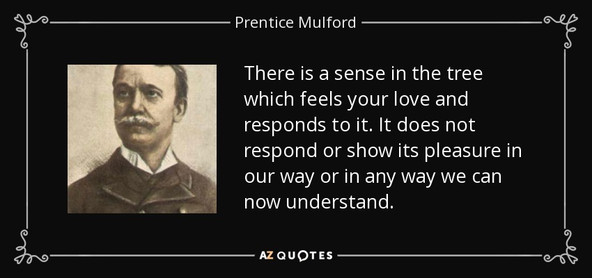 There is a sense in the tree which feels your love and responds to it. It does not respond or show its pleasure in our way or in any way we can now understand. - Prentice Mulford