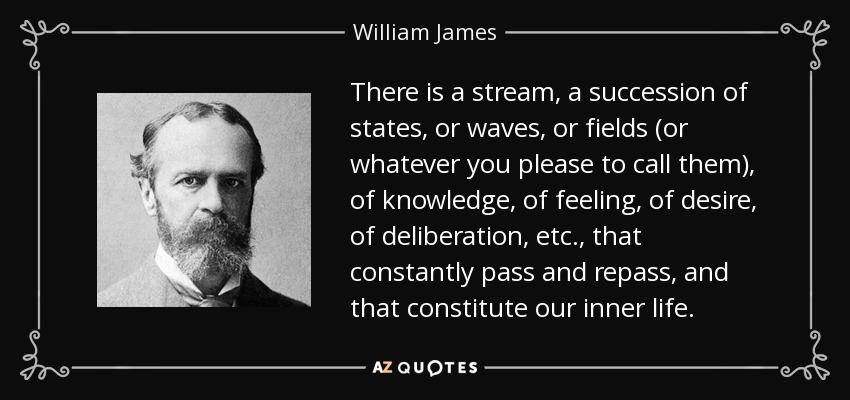 There is a stream, a succession of states, or waves, or fields (or whatever you please to call them), of knowledge, of feeling, of desire, of deliberation, etc., that constantly pass and repass, and that constitute our inner life. - William James