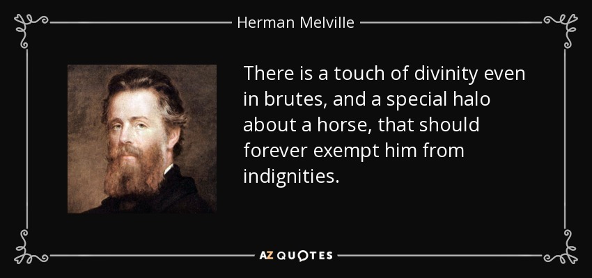 There is a touch of divinity even in brutes, and a special halo about a horse, that should forever exempt him from indignities. - Herman Melville