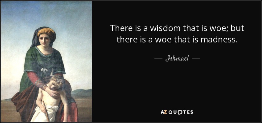 There is a wisdom that is woe; but there is a woe that is madness. - Ishmael