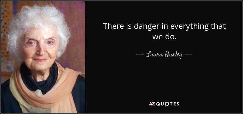 There is danger in everything that we do. - Laura Huxley