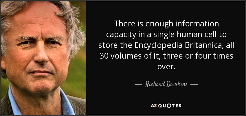 There is enough information capacity in a single human cell to store the Encyclopedia Britannica, all 30 volumes of it, three or four times over. - Richard Dawkins