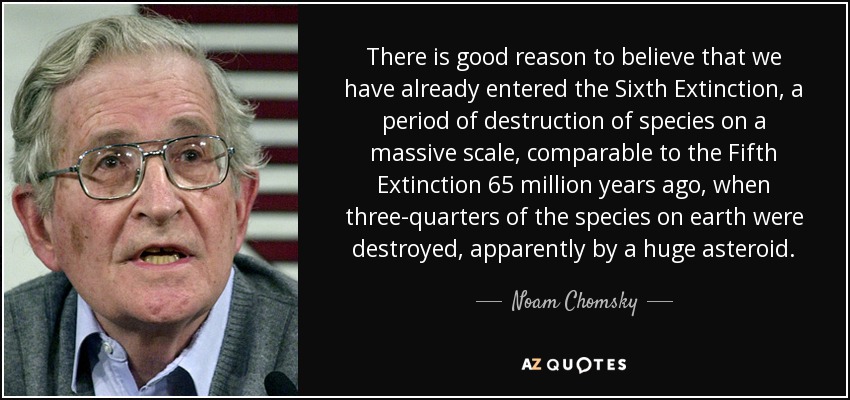 There is good reason to believe that we have already entered the Sixth Extinction, a period of destruction of species on a massive scale, comparable to the Fifth Extinction 65 million years ago, when three-quarters of the species on earth were destroyed, apparently by a huge asteroid. - Noam Chomsky