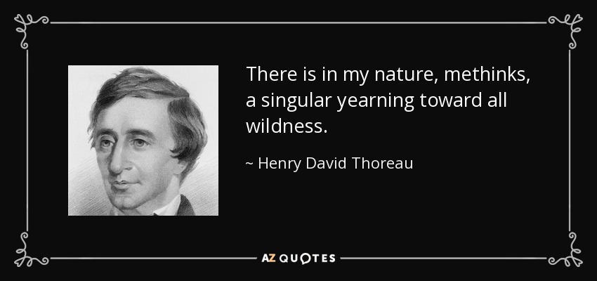 There is in my nature, methinks, a singular yearning toward all wildness. - Henry David Thoreau