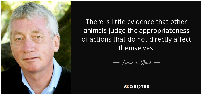 There is little evidence that other animals judge the appropriateness of actions that do not directly affect themselves. - Frans de Waal