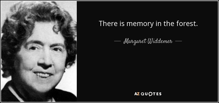 There is memory in the forest. - Margaret Widdemer