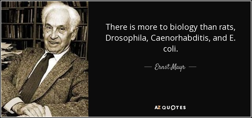 There is more to biology than rats, Drosophila, Caenorhabditis, and E. coli. - Ernst Mayr