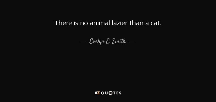 There is no animal lazier than a cat. - Evelyn E. Smith