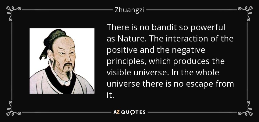 There is no bandit so powerful as Nature. The interaction of the positive and the negative principles, which produces the visible universe. In the whole universe there is no escape from it. - Zhuangzi