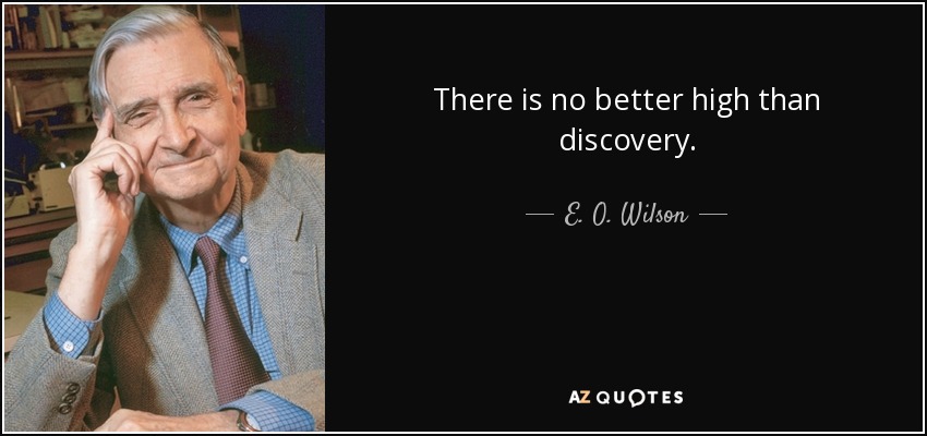 There is no better high than discovery. - E. O. Wilson