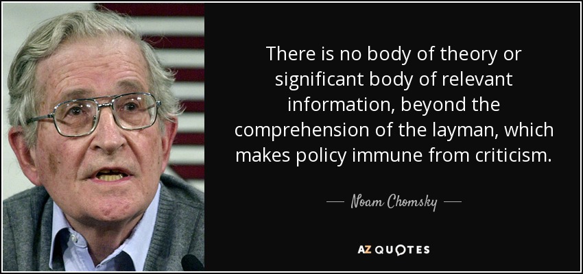 There is no body of theory or significant body of relevant information, beyond the comprehension of the layman, which makes policy immune from criticism. - Noam Chomsky